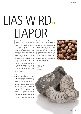 t_lianews_extra_2019_bg-3.jpg